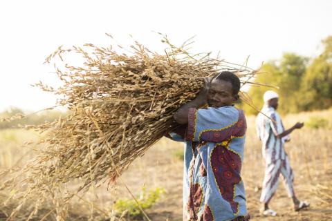Lutheran World Relief Burkina Faso Farmers 